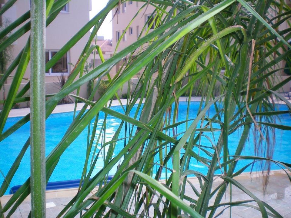 103 Elegant 2 Bed Apartment With Free Wifi, Ac, Pool & Gym! ラルナカ エクステリア 写真